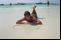 Что получается? Has sasha alexander been nude края